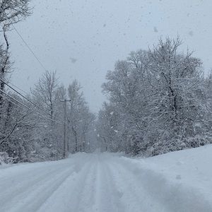 Meet your Posher, Cali